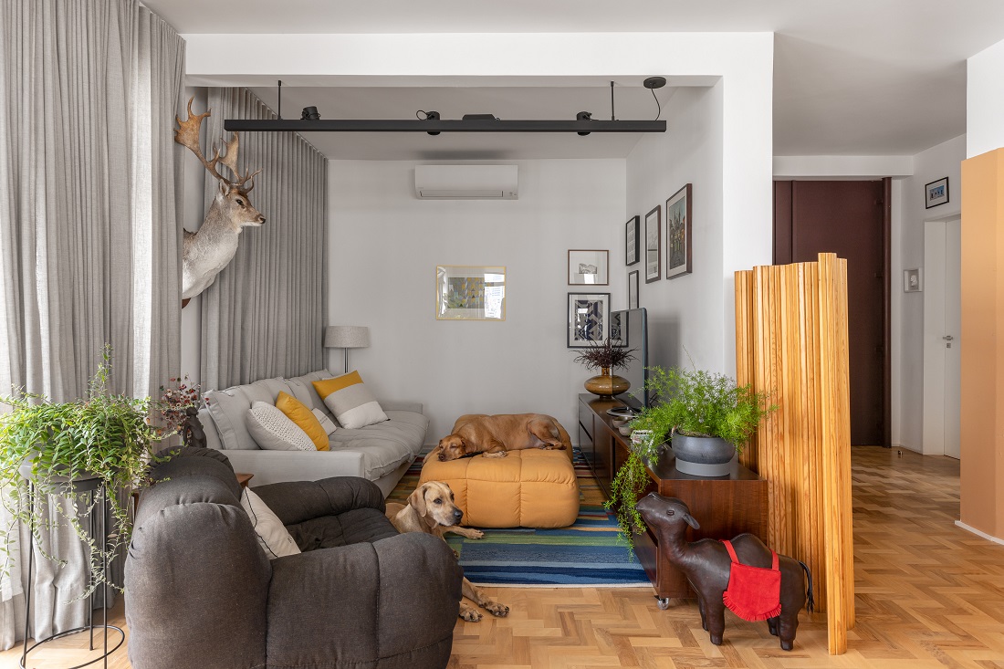 Sala de TV integrada para pets