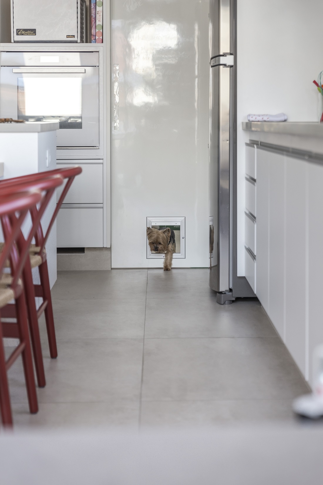 Porta adaptada com portinha para pet em apartamento