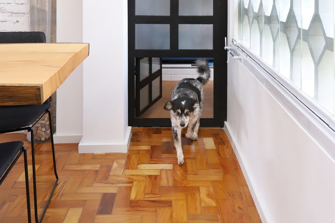 Porta de alumínio com portinhola para cachorro