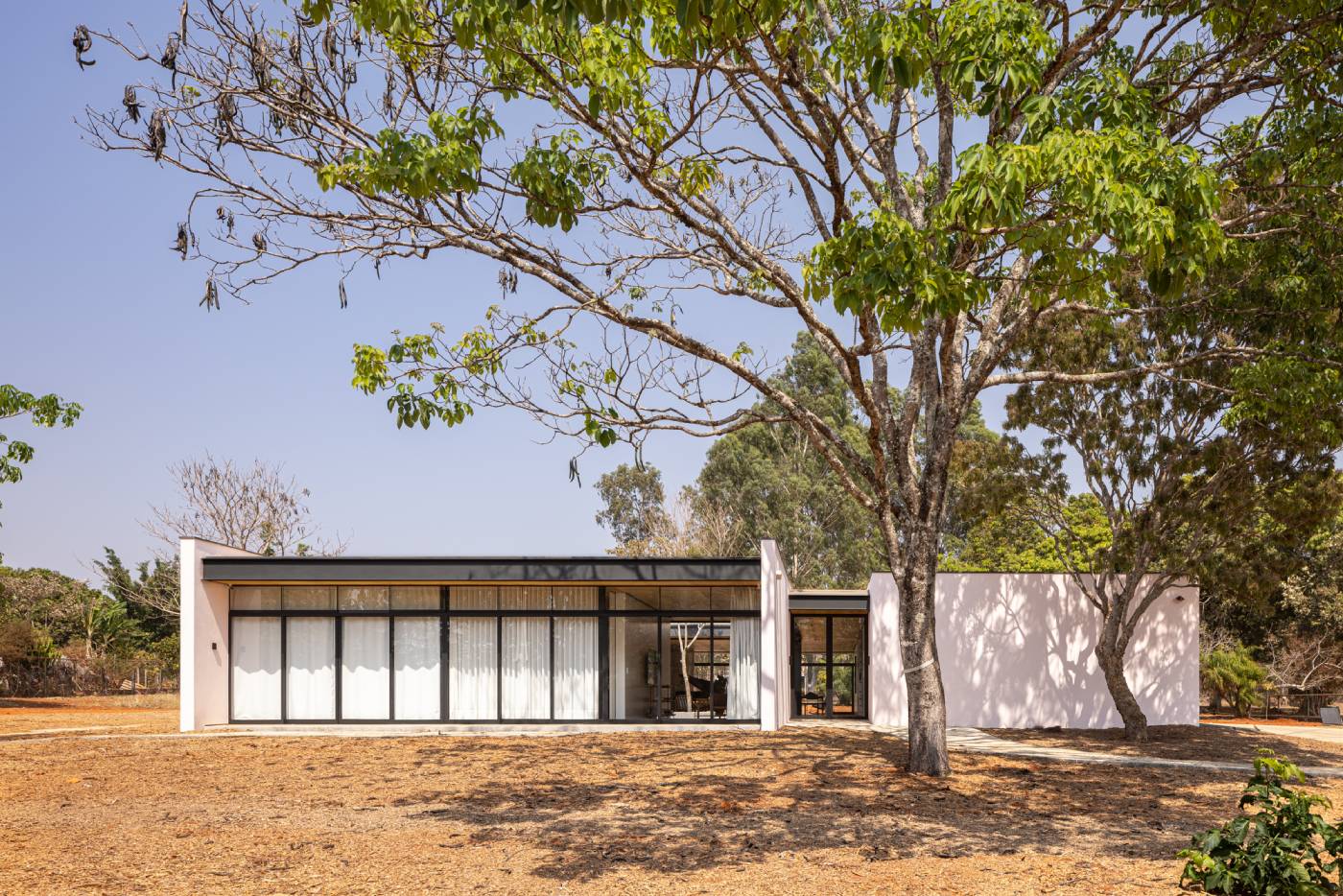 Como o modernismo brasileiro influencia a arquitetura contemporânea ...